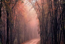 百家乐今夜丹佛掘金调整名单：CBA常规赛节点到来，话题不断，球队文化再被提及的简单介绍